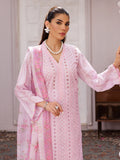 Nissa Chikankari 25 D# - 06