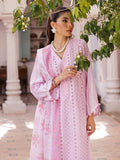 Nissa Chikankari 25 D# - 06