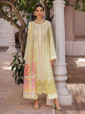 Nissa Chikankari 25 D# - 09